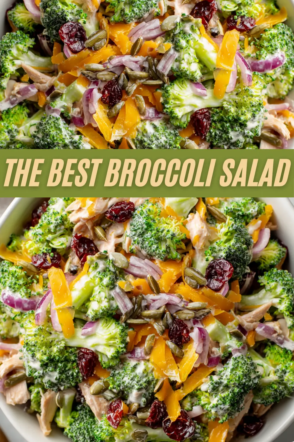 Fresh broccoli salad with cheddar, dried cranberries, sunflower seeds, and creamy dressing