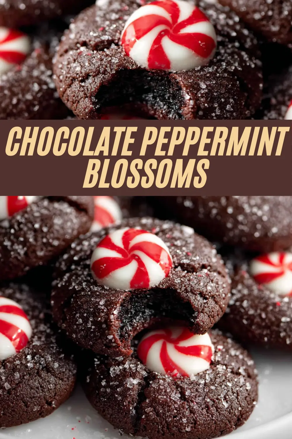 Recipe card for chocolate cookies topped with peppermint candies, labeled “Chocolate Peppermint Blossoms.”