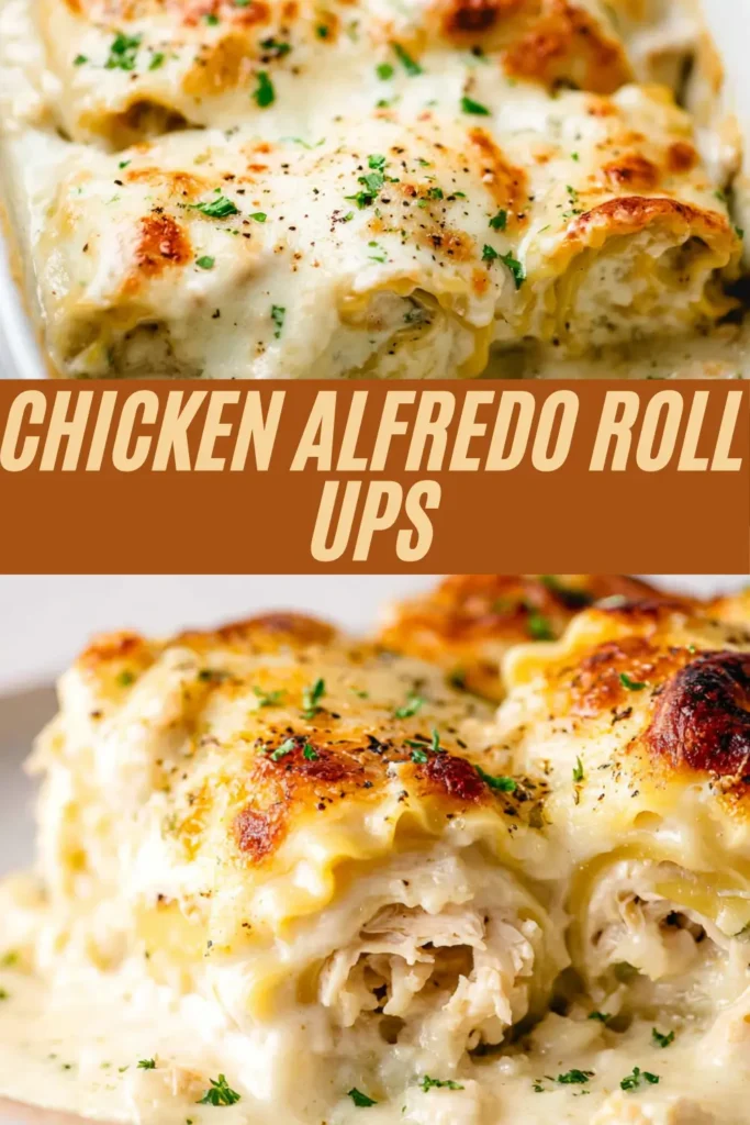Chicken Alfredo roll ups recipe with lasagna noodles filled with shredded chicken, baked in creamy Alfredo sauce, and topped with golden melted cheese and parsley.