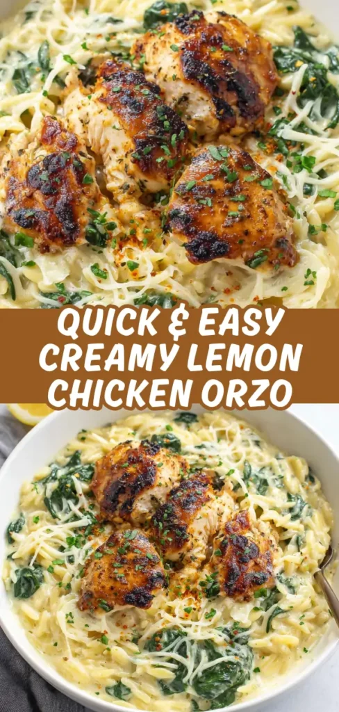 Creamy lemon chicken orzo with seared chicken pieces, fresh spinach, and shredded cheese in a silky sauce.