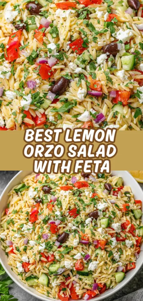 Colorful orzo salad loaded with fresh vegetables, olives, and feta cheese, perfect for a light, refreshing meal.