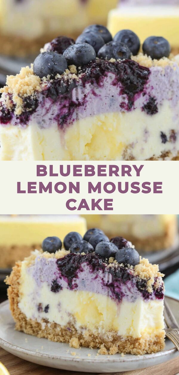 A layered dessert features blueberries, shortbread, and lemon mousse, artfully arranged for maximum deliciousness.