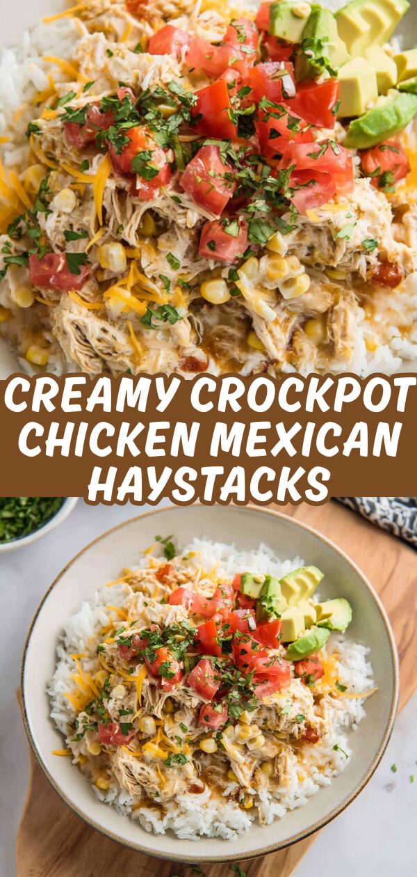 A comforting spoonful of creamy, shredded chicken and toppings overflows a tortilla, ready to be devoured.
