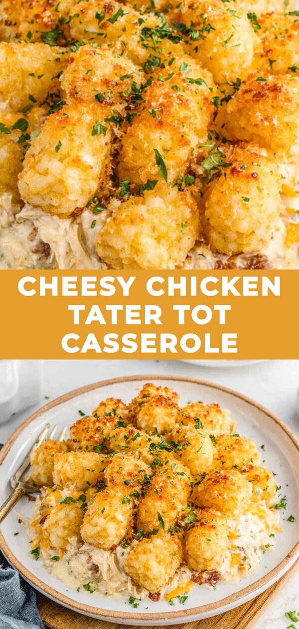 Golden, bubbly cheese blankets a casserole of chicken and tater tots, promising comfort with every bite.