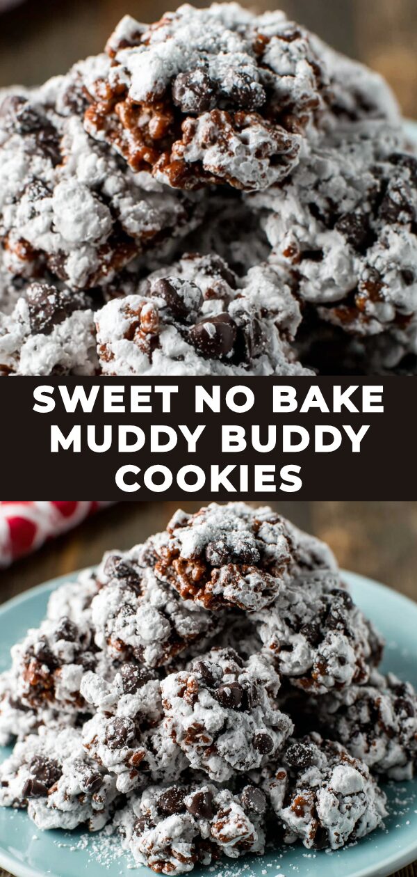 A tempting pile of sweet, no-bake cookies coated in powdered sugar and chocolatey goodness awaits.