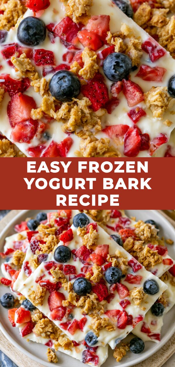 A colorful, segmented sheet of frozen yogurt with fruit and chocolate chips, presented as a refreshing dessert treat.