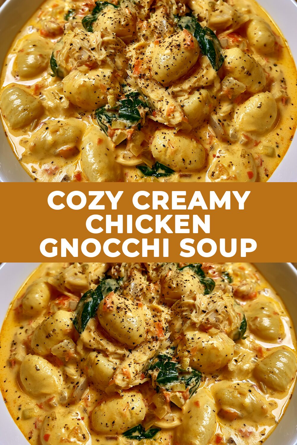 Cozy Creamy Chicken Gnocchi Soup Recipe