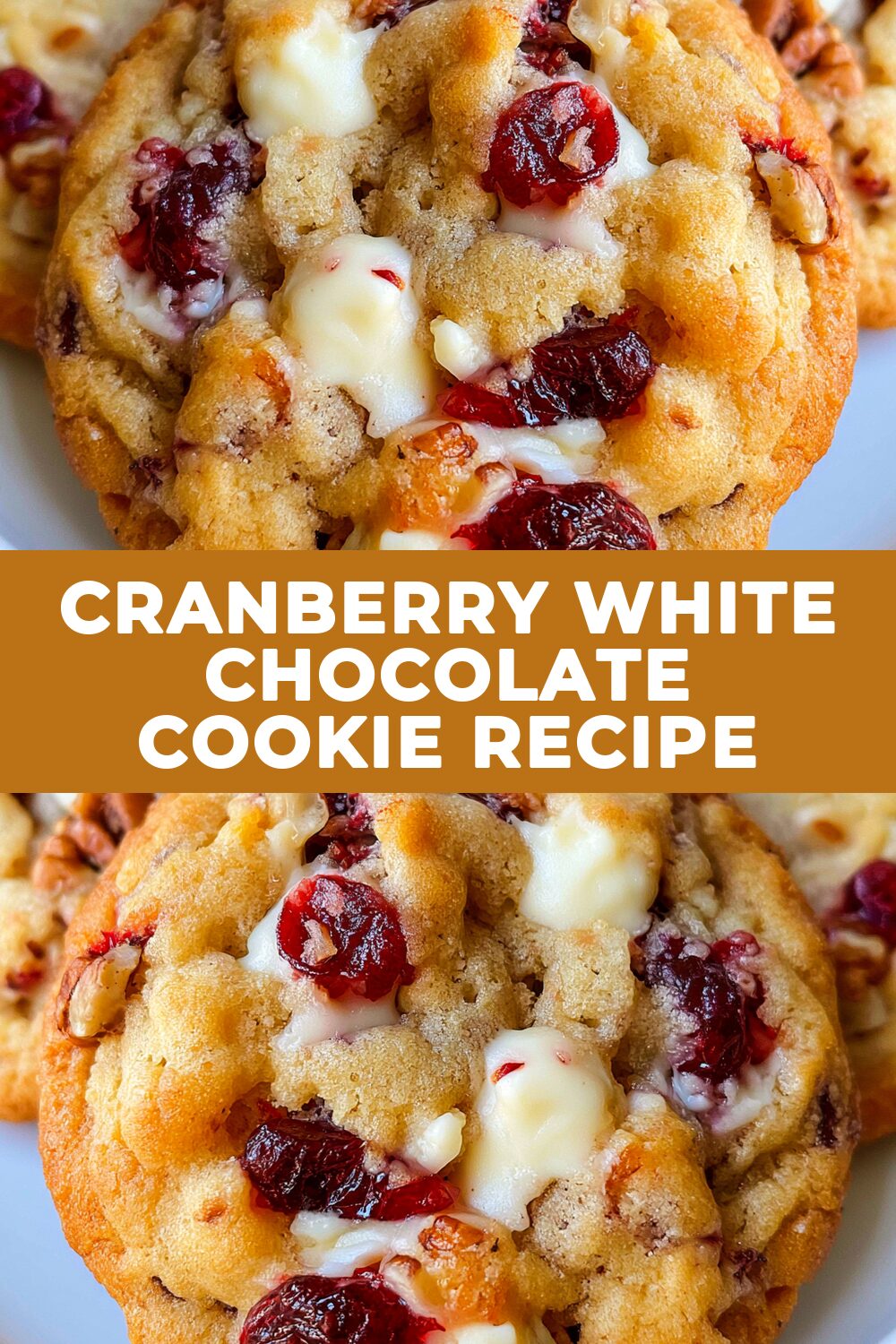 Cranberry White Chocolate Cookie Recipe