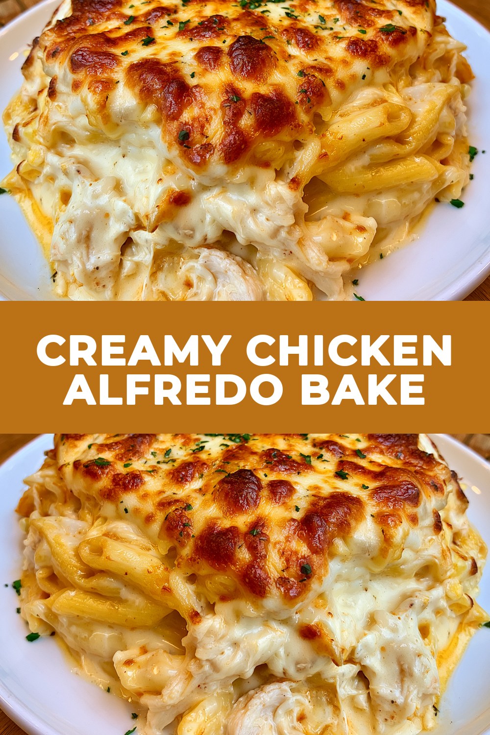 Creamy Chicken Alfredo Bake Recipe
