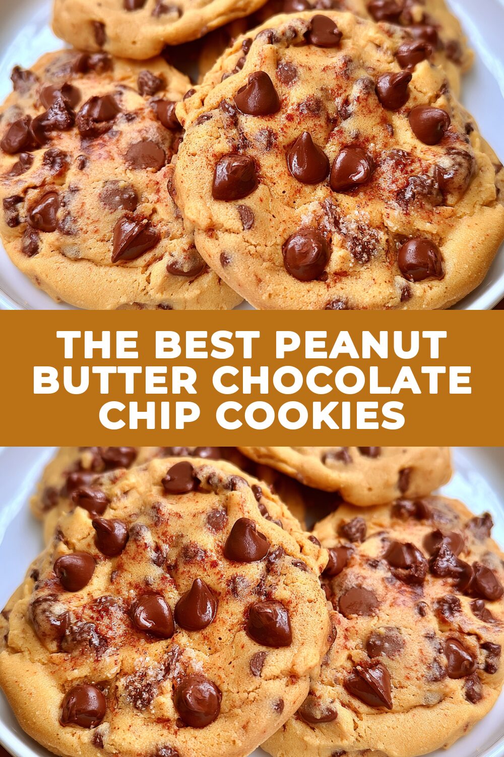 The Best Peanut Butter Chocolate Chip Cookies Recipe